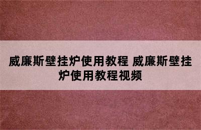 威廉斯壁挂炉使用教程 威廉斯壁挂炉使用教程视频